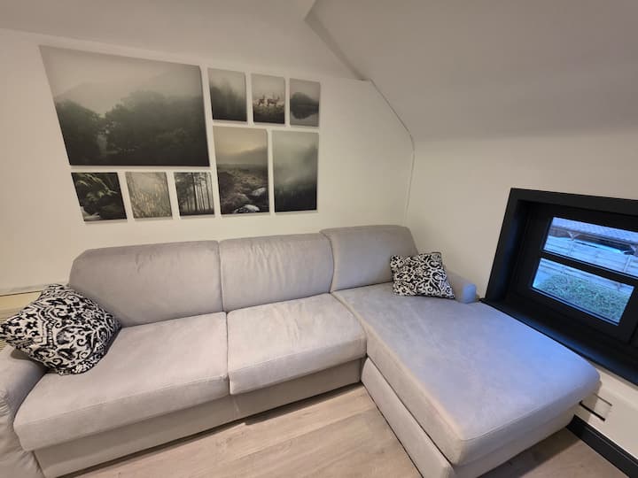 Cosy Sous Combles Entre Mons Et Pairi Daiza - Mons