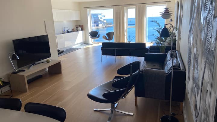 Velkommen Til Vores Dansk Design Hjem I København - Copenaghen