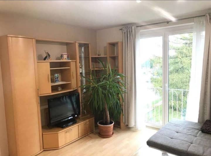 Appartement - Wohnung "Seerose" 50 M2 Neufeldersee - Wiener Neustadt