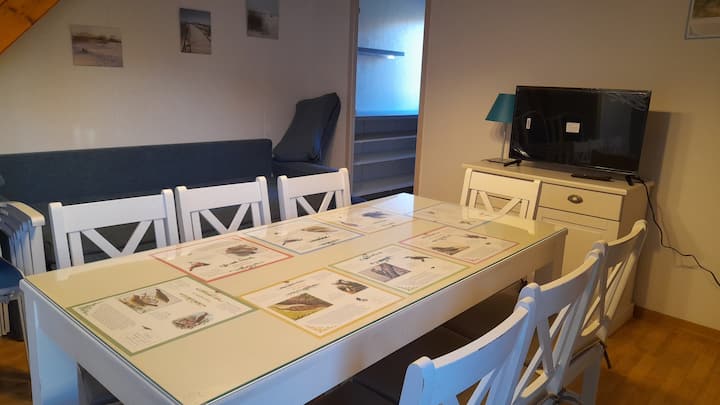 Villa 8 Personnes (131) - Moliets-et-Maa