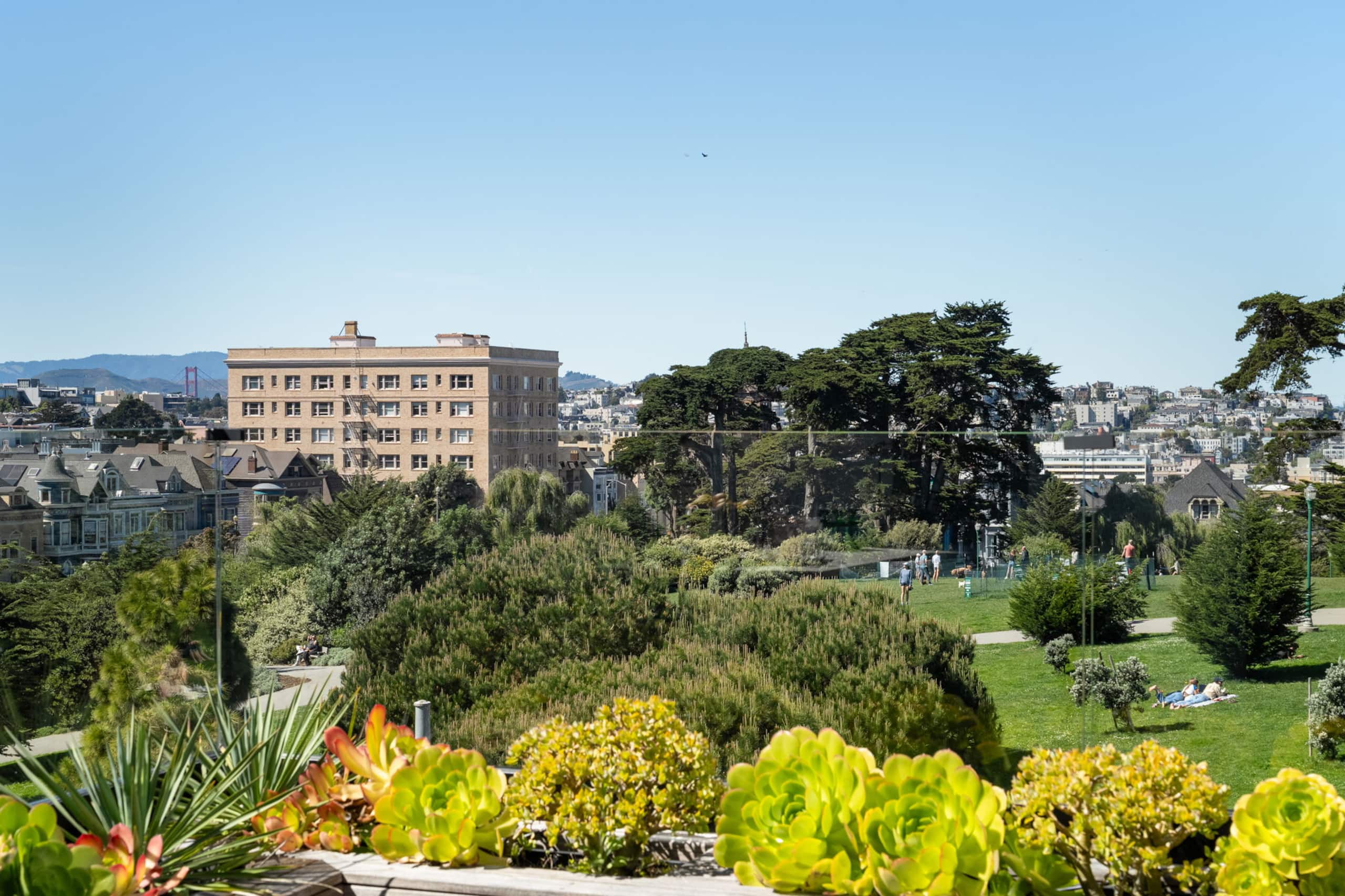 Home in San Francisco · ★5.0 · 4 bedrooms · 5 beds · 3 baths - Image 25