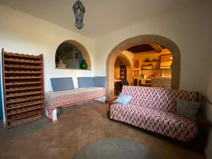 Poggio Delle Civette 
Intera Casa Di Campagna - Certaldo