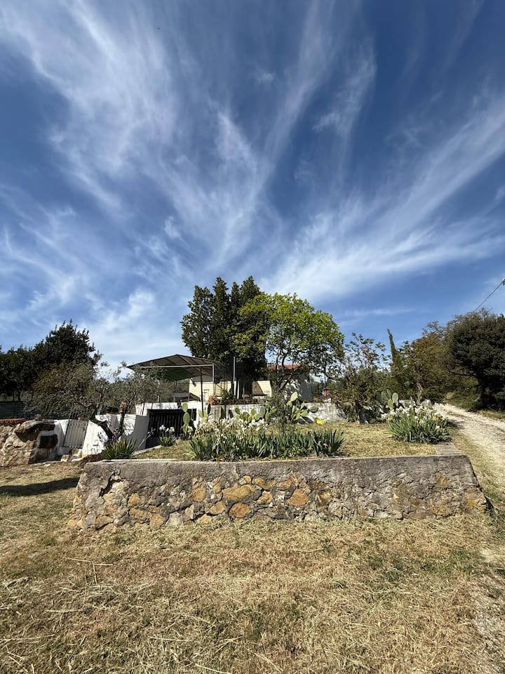 La Casa Nel Verde - Massa Marittima