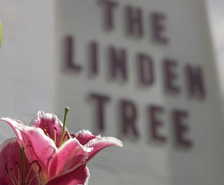 The Linden Tree - Room 4 (Twin) - Gloucester