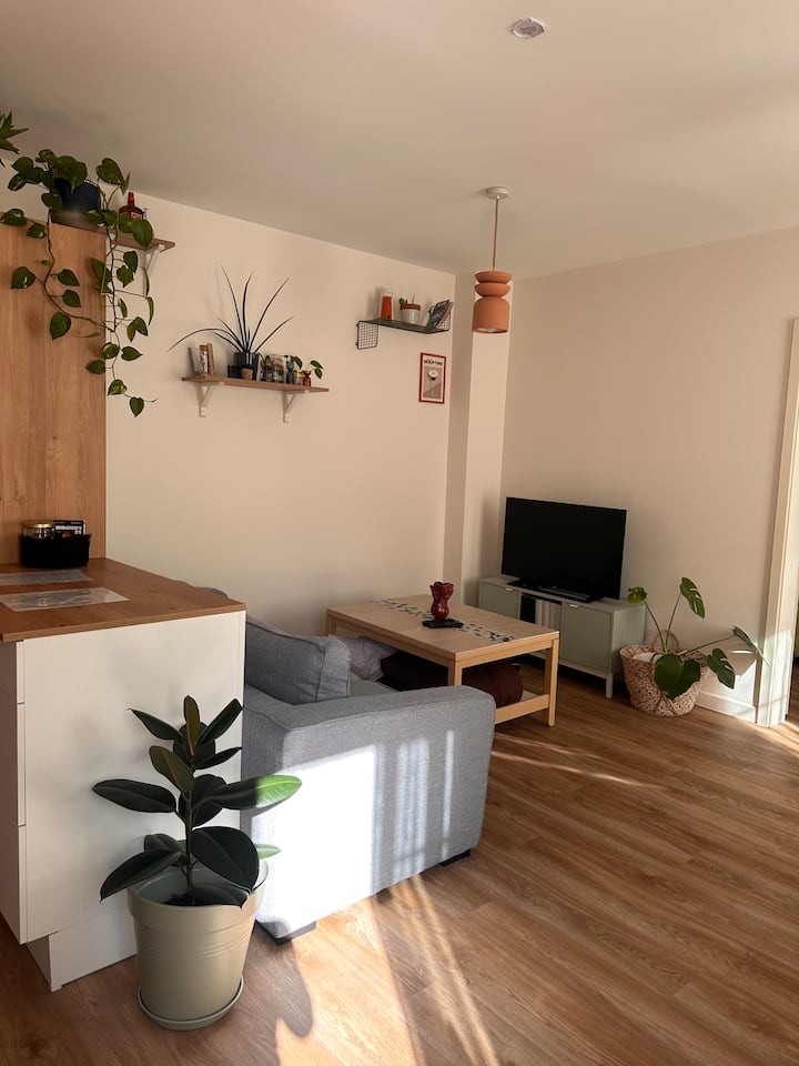 Appartement Cosy Proche Du Tram - Strasbourg