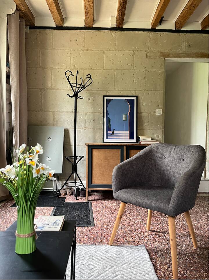 Nouveau Gîte 2 éToiles Sur Une îLe De La Loire - Gennes