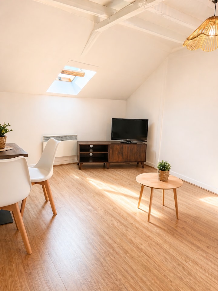 Appartement Avec Kitchenette Et Wifi - Decize