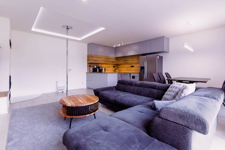 Modern Family House In Prague With Garden And Pool - チェコ