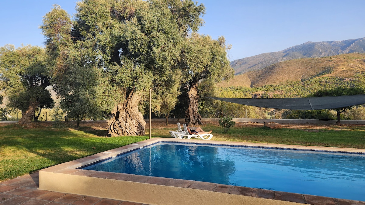 Lechin Los Olivos Centenarios - Lechin - Casas en alquiler en Órgiva ...