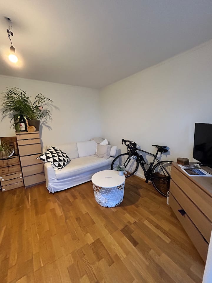 Studio Cosy Proche Gare Et Autoroute - Lausanne