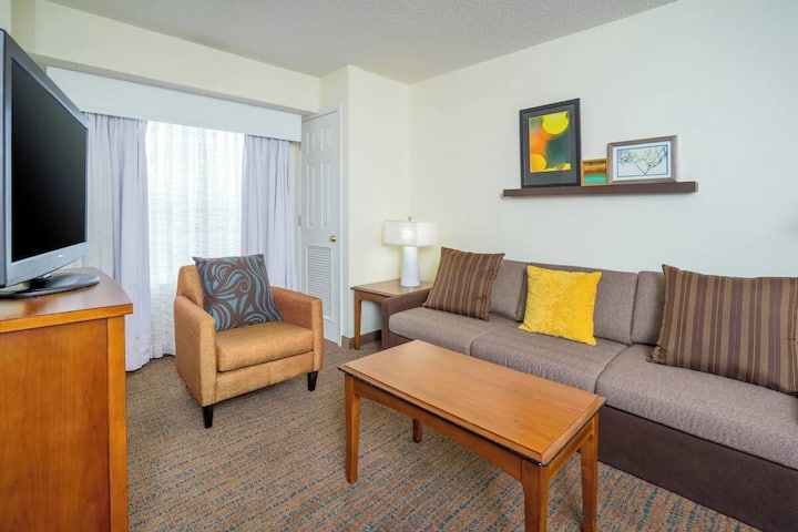 1br King Sofa | Marriott Salisbury | Home Feeling - Salisbury, MD