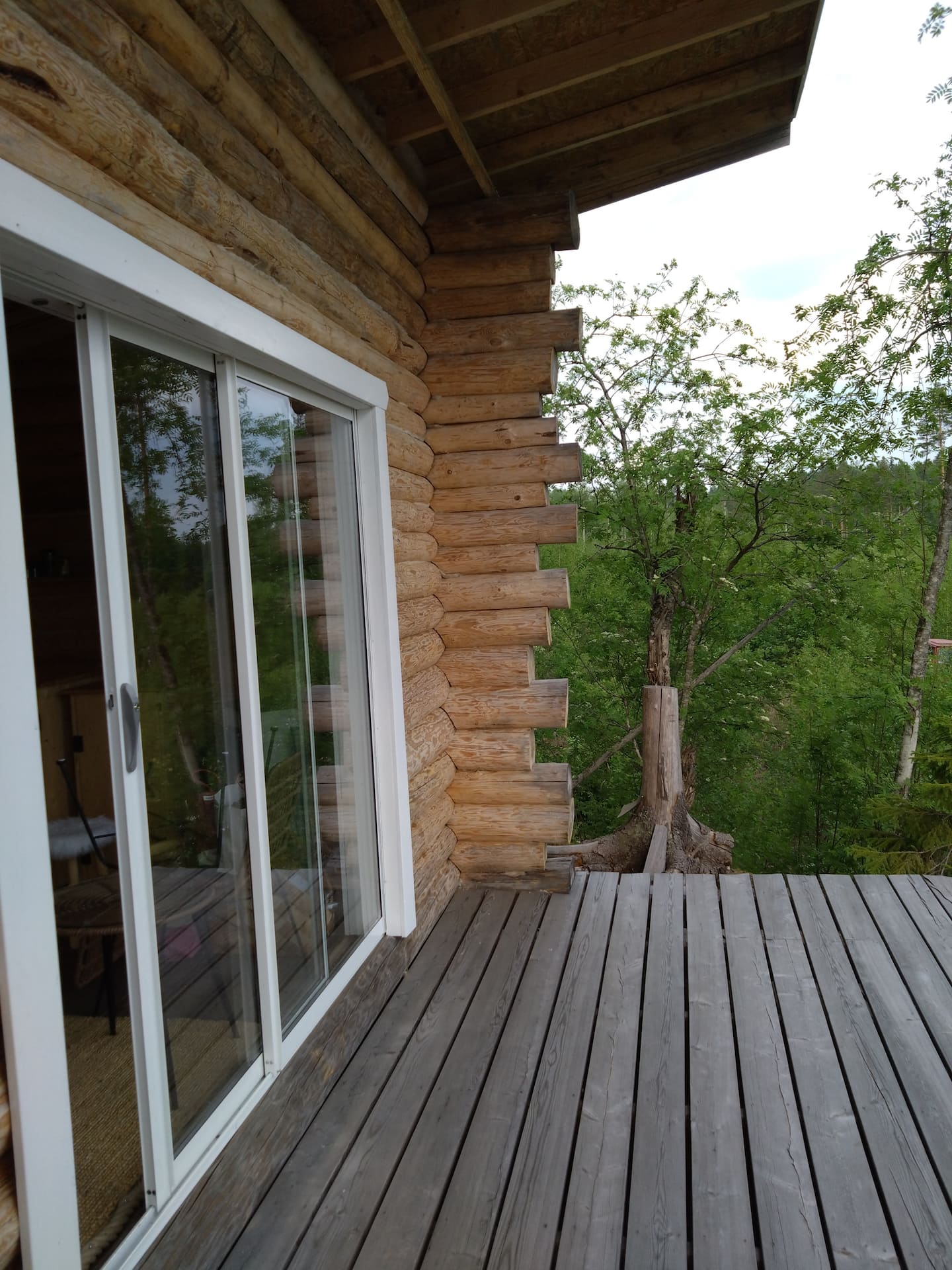 Metsämökki Luonnon Rauhassa 5