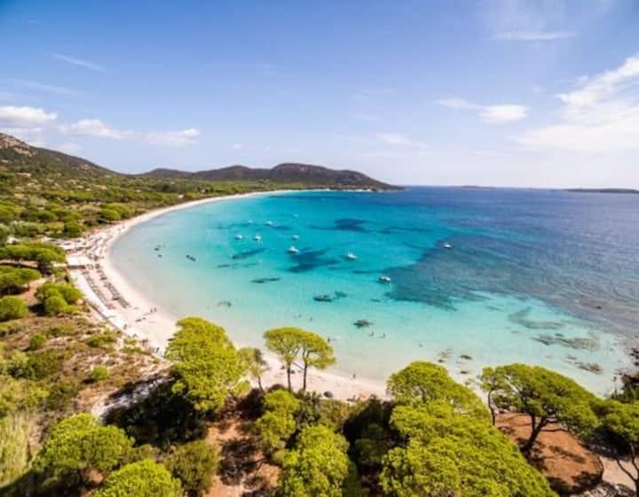 Location Estivale Porto-vecchio - Porto-Vecchio