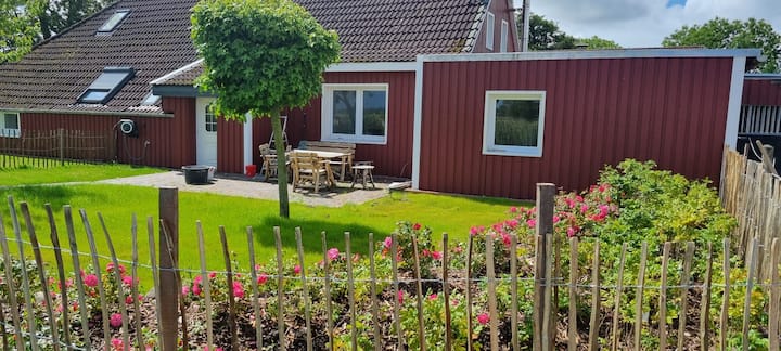 Möwennest Mitten Auf Dem Land - Baltrum
