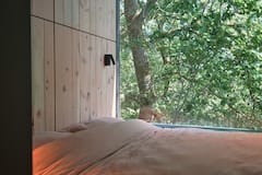 Foto do anúncio de Folia: casa na árvore de design empoleirada nas árvores em Praia do Presídio, Aquiraz