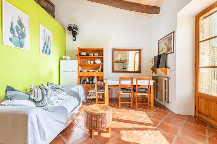 Agrotourism Sa Vall, Apartment & Terrace, Sostre - Mallorca