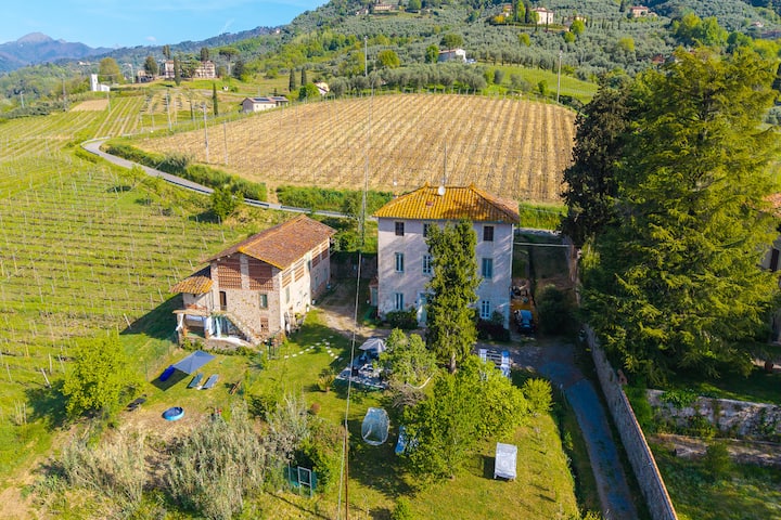 Paradise Family Apartment Near Lucca - Lucques
