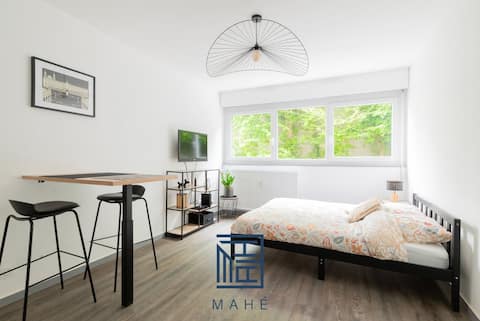 Top Airbnb: Cosy, renovated studio flat, 10' from the station à Nancy