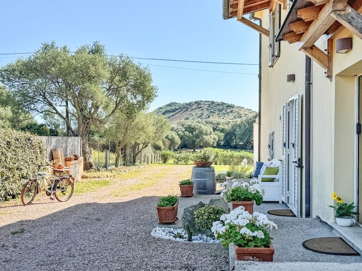 Al Casale - Villetta A Porto Rotondo - Olbia