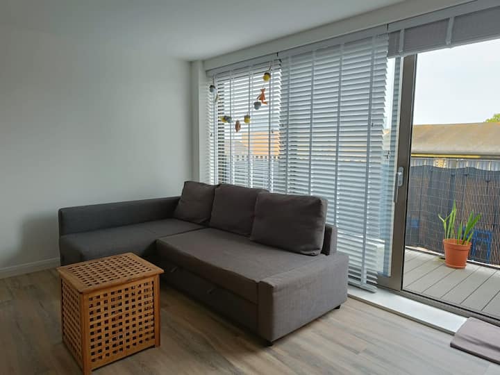 Flat For Professionals - 20mins From London Bridge - Bromley