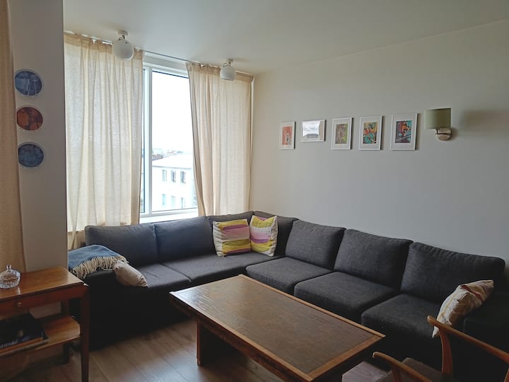Bright Condo In Reykjavík - Islande