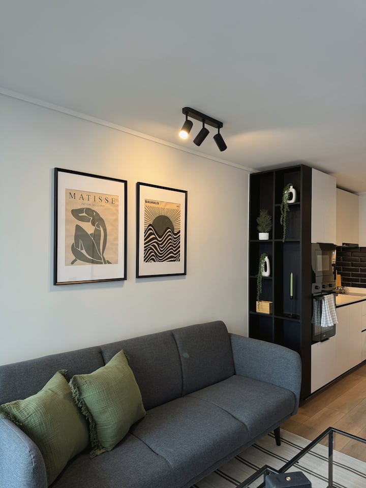 1d1b • Metro Irarrazaval • Wifi • Pet Friendly - Santiago, Chile