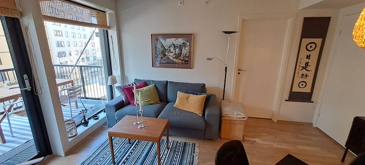 Moderne Leilighet I Oslo Med Stor, Koselig Balkong - Oslo