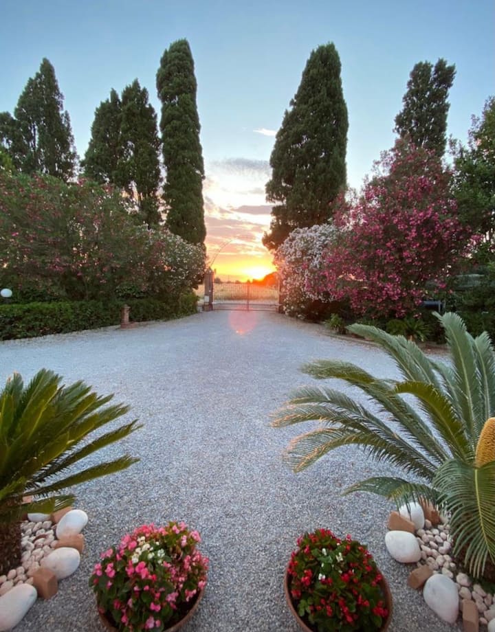 Oasi Di Elisa - Piombino