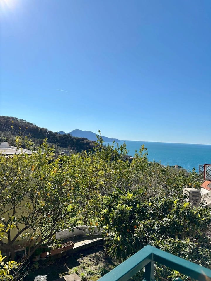 Da Feny Accogliente Con Vista Mare E Parcheggio - Capri