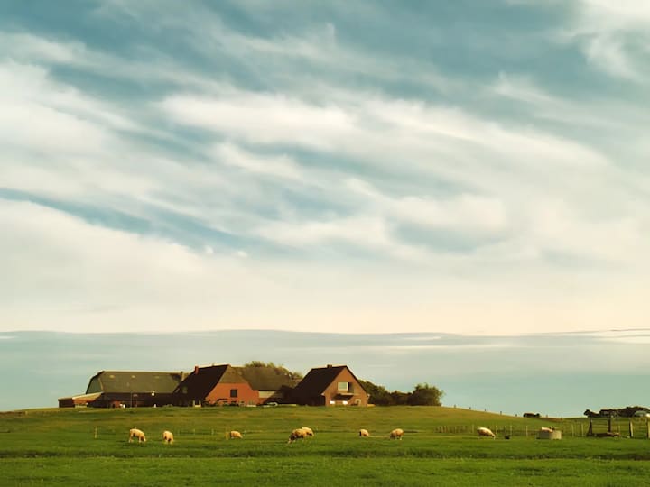 Fewo Nordseeblick - Langeneß