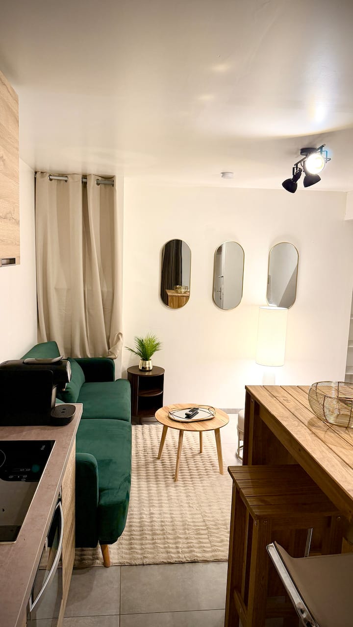 Appartement T2 Chic & Calme - Parking Gratuit - Castres