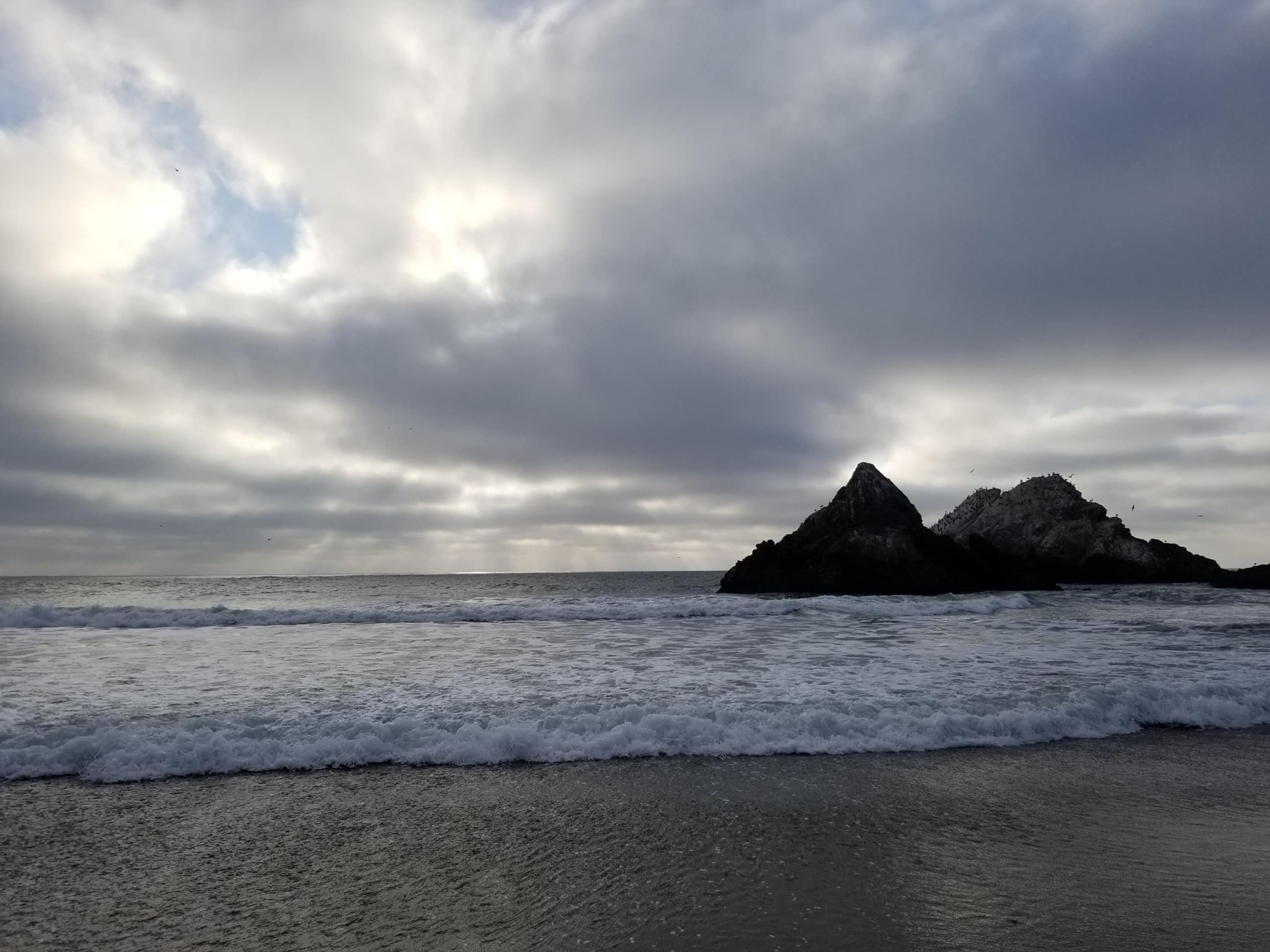 Guesthouse in San Francisco · ★5.0 · 2 bedrooms · 2 beds · 1 bath - Image 63