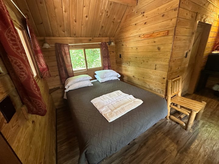 Pet-friendly Deluxe Cottage Cabin | Sleeps 4 - Hot Springs