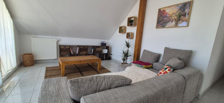 Appartement Calme Avec Belle Terrasse - Colmar