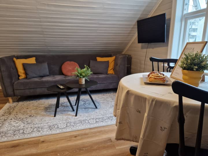 Apartment Next To The Hallgrímskirkja - Reykjavík