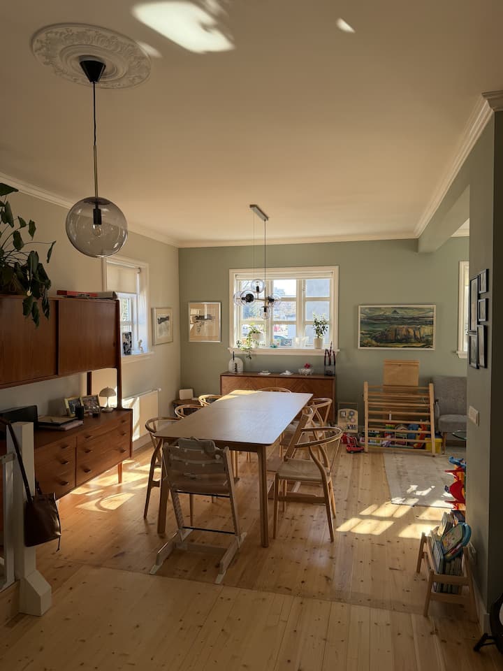 Charming Scandinavian Home In Central Reykjavík - Reykjavík