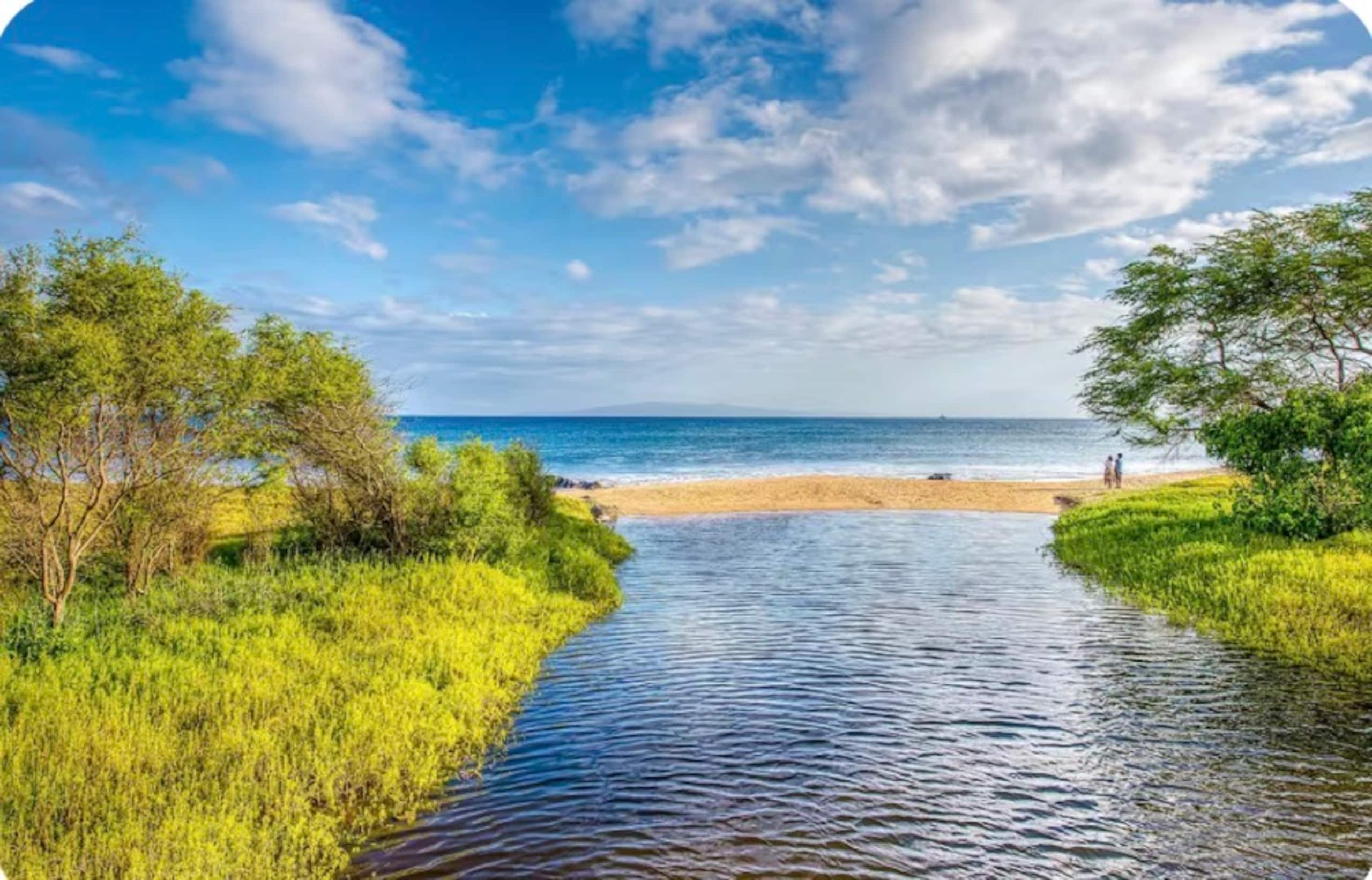 Condo in Kihei · ★5.0 · Studio · 2 beds · 1 bath - Image 15