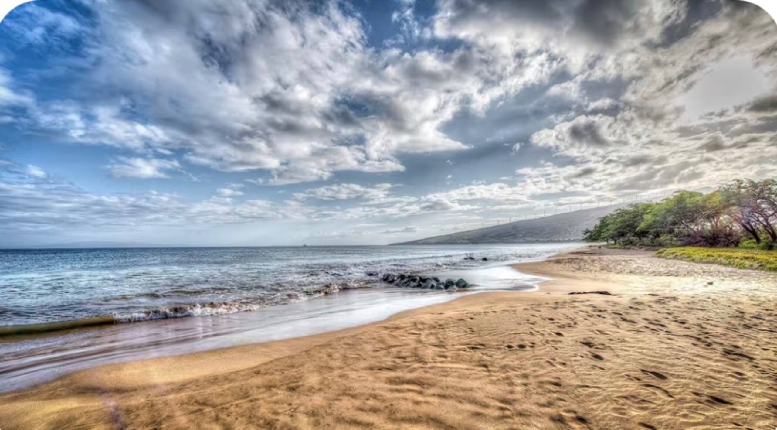 Condo in Kihei · ★5.0 · Studio · 2 beds · 1 bath - Image 16