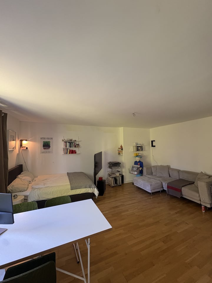 Charmantes Studio-appartment In Eimsbüttel - Halstenbek