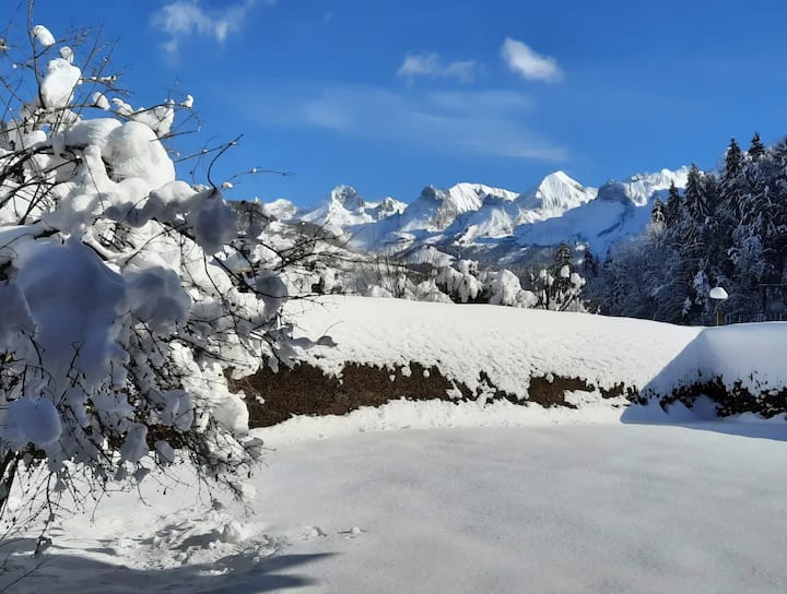 Appartement Rez De Jardin, Vue Montagne - Le Grand-Bornand