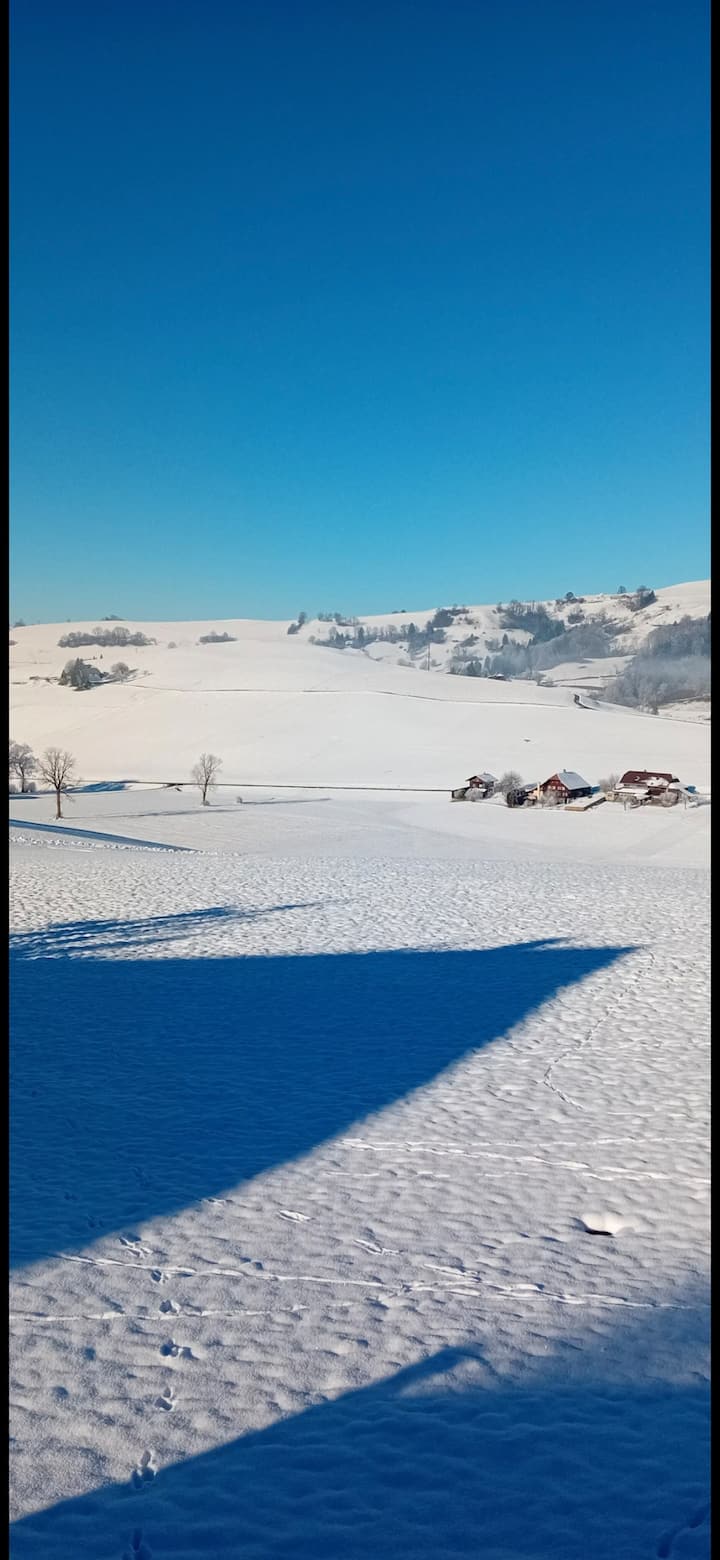 Nestlandia - Switzerland