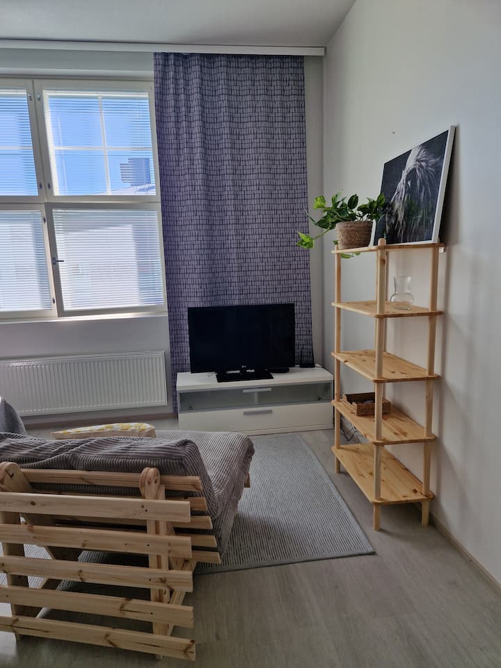 Viihtyisä Yksiö Sataman Läheisyydessä - Kuopio