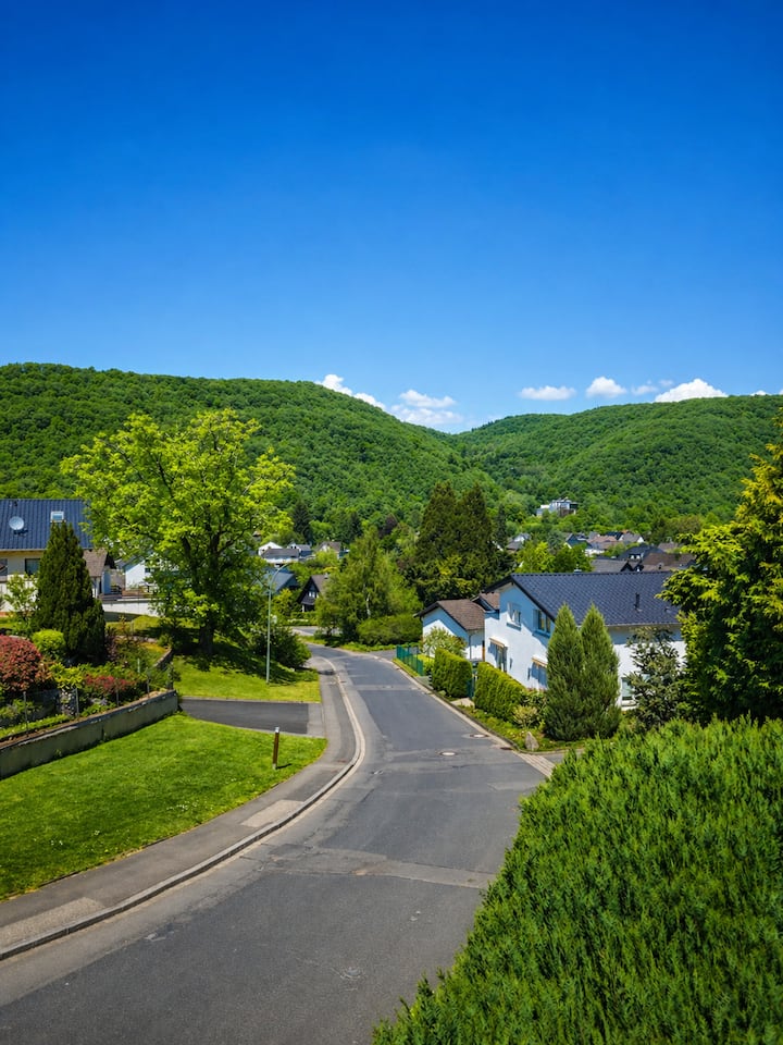Eifel/flair/balkon/6 Pers./hunde/familien & Firmen - Schleiden