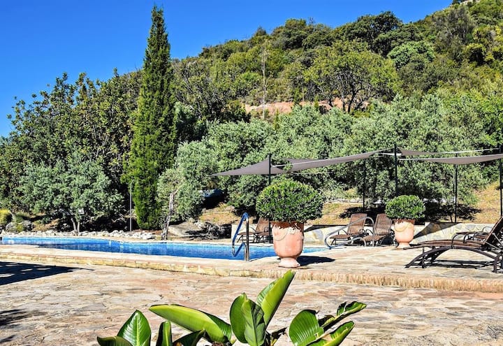 Romantic Paradise 3 - Grazalema