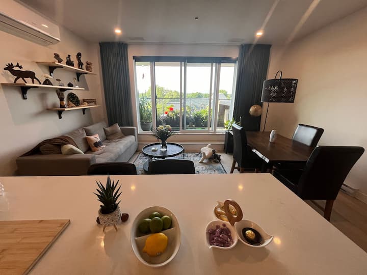 Lovely "Penthouse" In Historic Riverside Aylmer! - Kanata