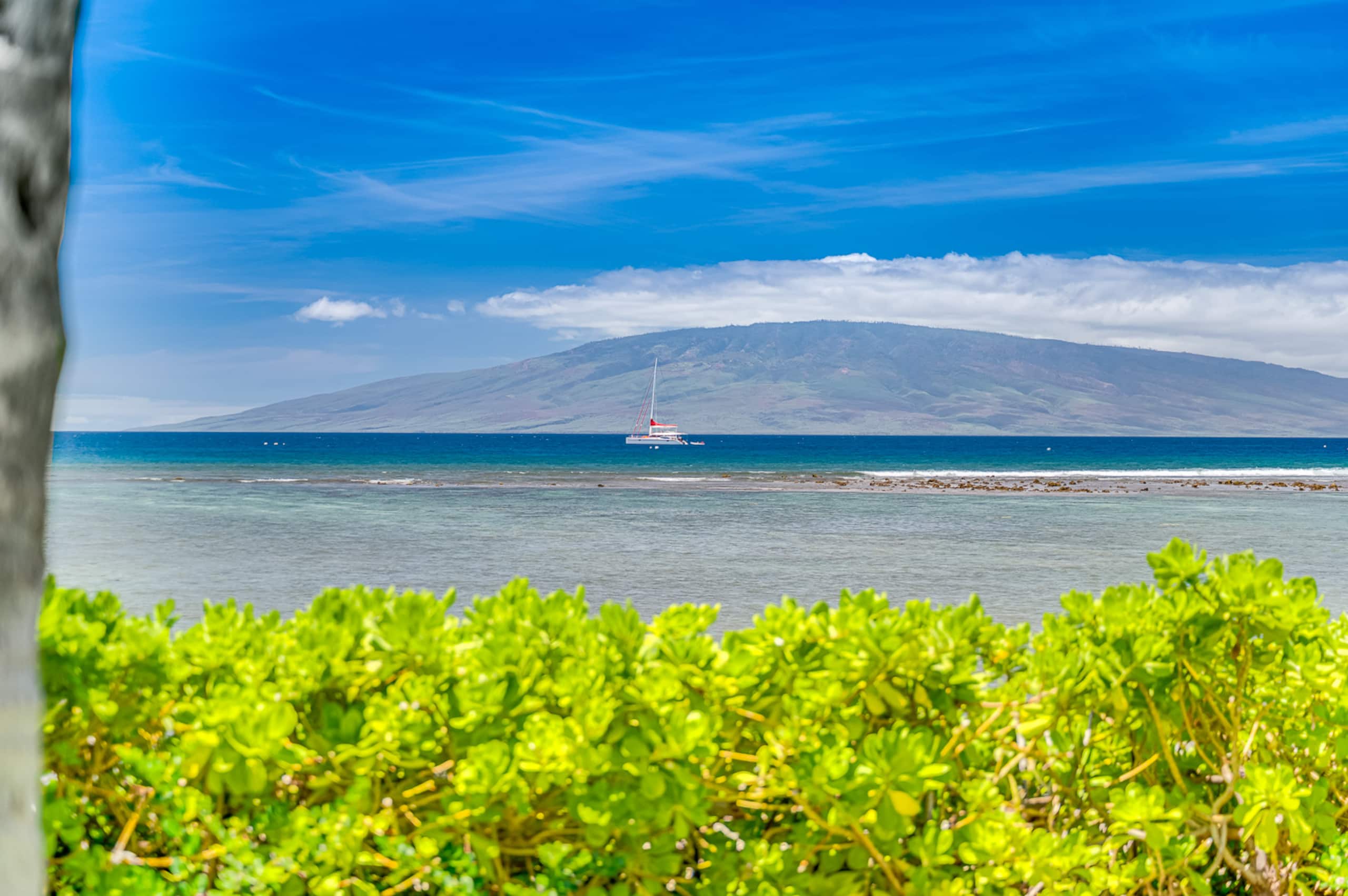 Lahaina Oceanfront Studio | Beach & Pool Access - Image 16