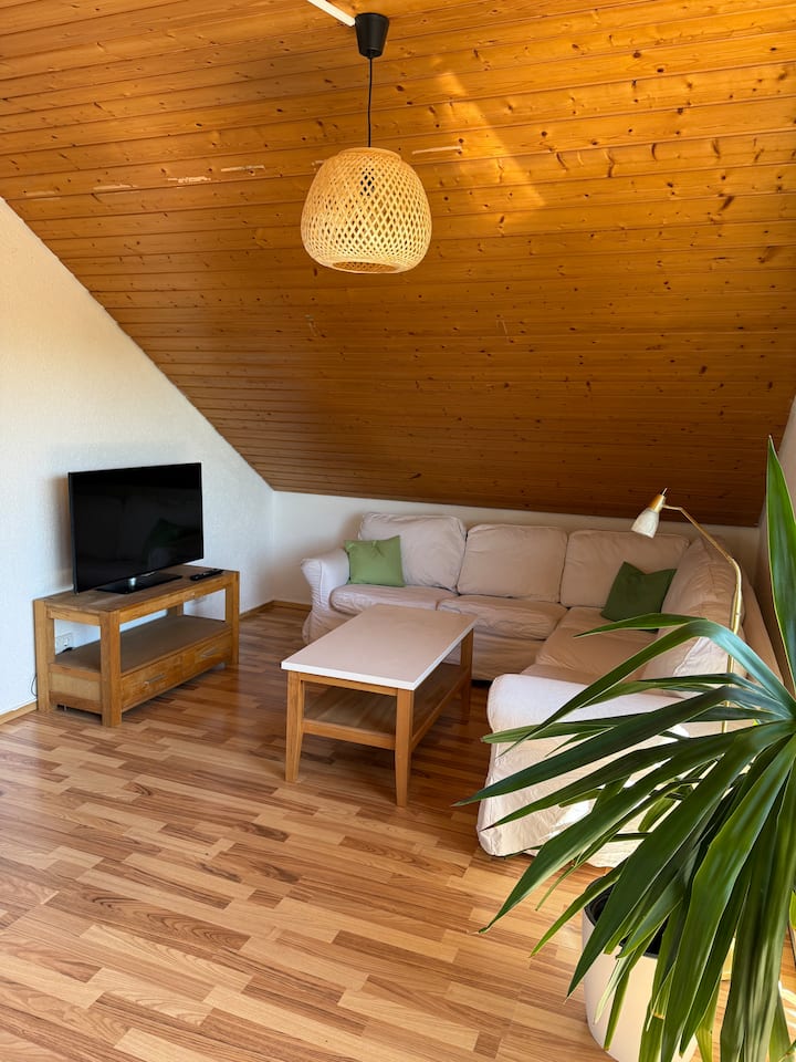 Hegau Garden Apartment - Singen