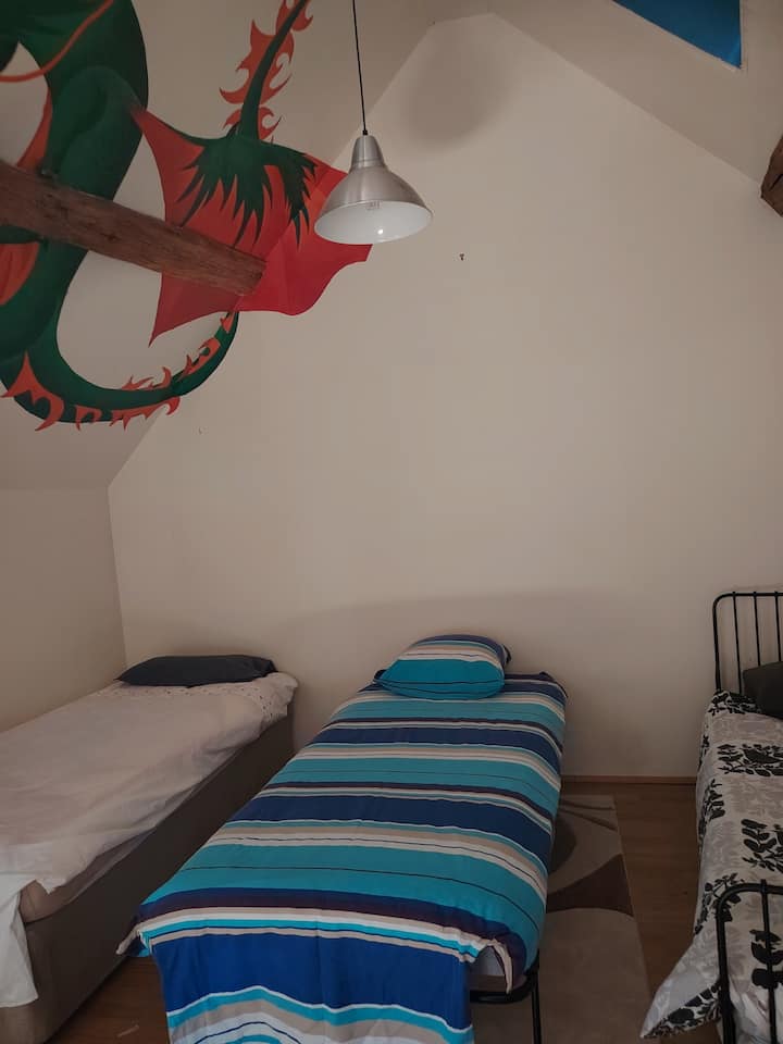 3 krevate tekë në dhomë me dekor/dizajn kafshësh.