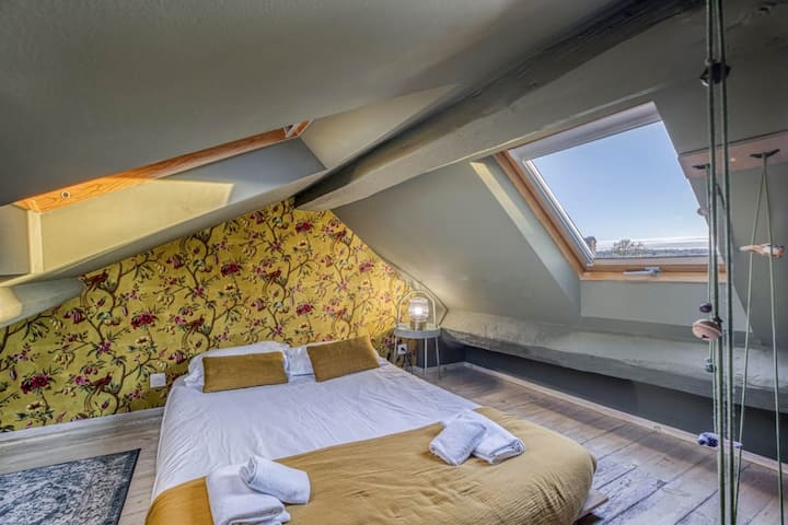 Magnifique Appartement En Plein Cœur D'annecy - Annecy
