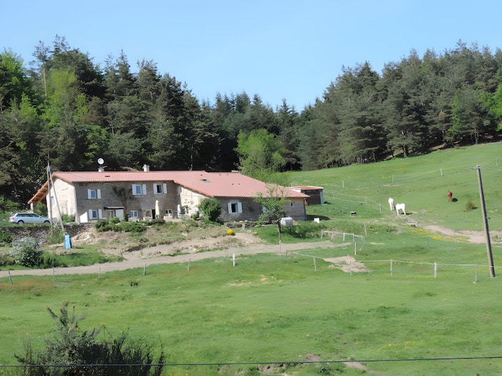 Gîte Les Combes Claires - Le Cheylard